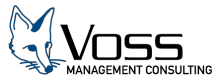 Dr. Voss Management Consulting